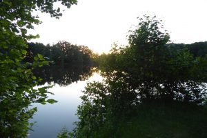 Sonnenuntergang am Alberssee - Lippstädter Seenplatte