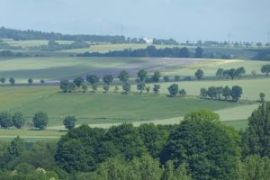 Fast wie in der Toscana...