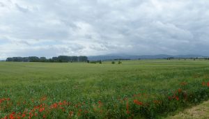 Harzer Nordansicht