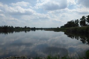 Die Elbe bei Magdeburg...