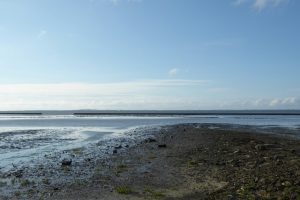 Blick auf Langeoog...
