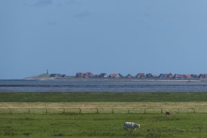 Blick auf Norderney...