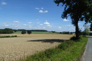 Landschaft bei Steinfurt...