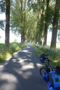 Schöne Radwege haben sie hier