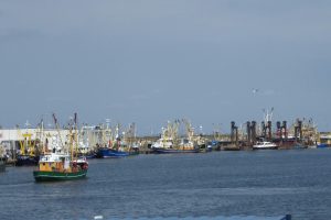 Hafen von Den Oever...